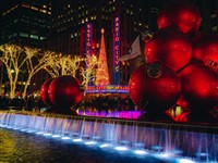 Book now to join us on this fablous outing in NYC,  getting  you right into the holiday spirit. 