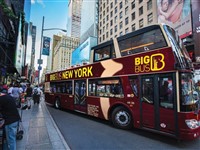 Contact us to book your ticket for  Big Bus Downtown Discover Tour 