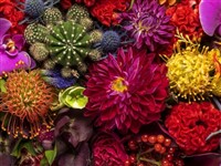 Philadephia Flower Show - The Most Popular Botanical Event of the East Coast 