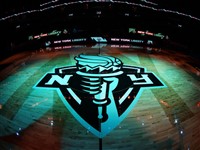 NY Liberty Floor Logo