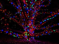 Secure your seat with A-1 Tours now for this memorable holiday outing 