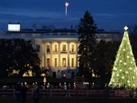 Book now to secure your spot on this on popular holiday outing with A-1 Tours to Washington DC. 
