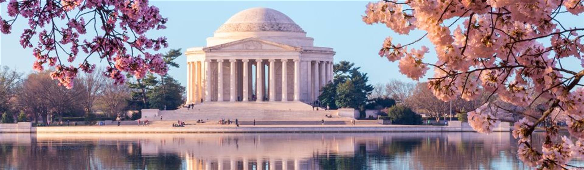 A-1 Tours would be delighted to customize your tour Washington DC this spring