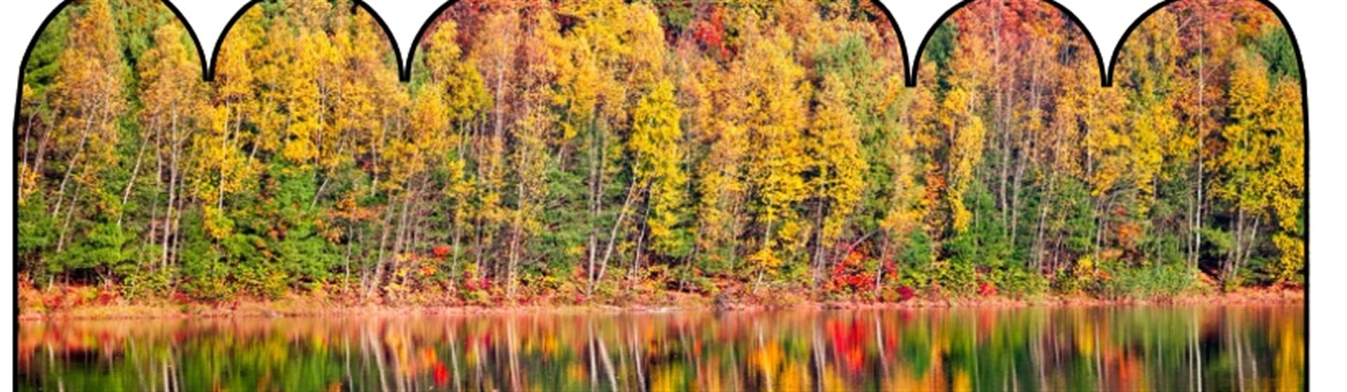 Enjoy a foliage rain ride and Jim Thorpe Fall Foliage Festival