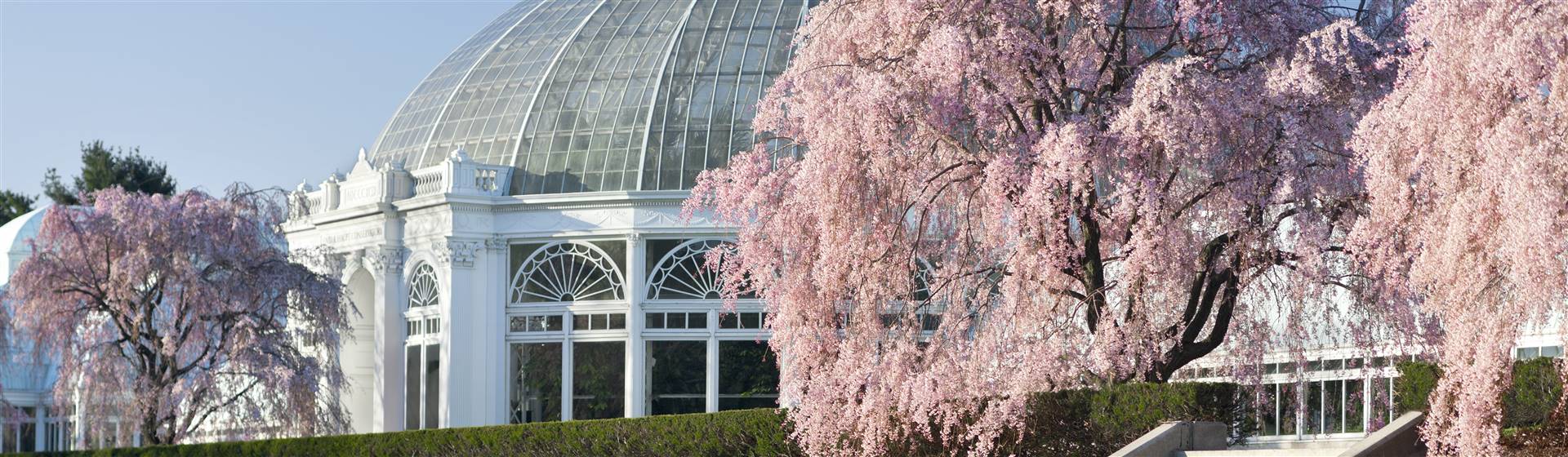 New York Botanical Garden