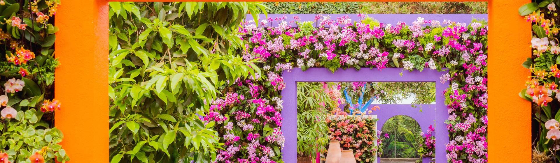 Come join A-1 Tours for a day in full bloom as we explore the  the mesmerizing Orchid Show 