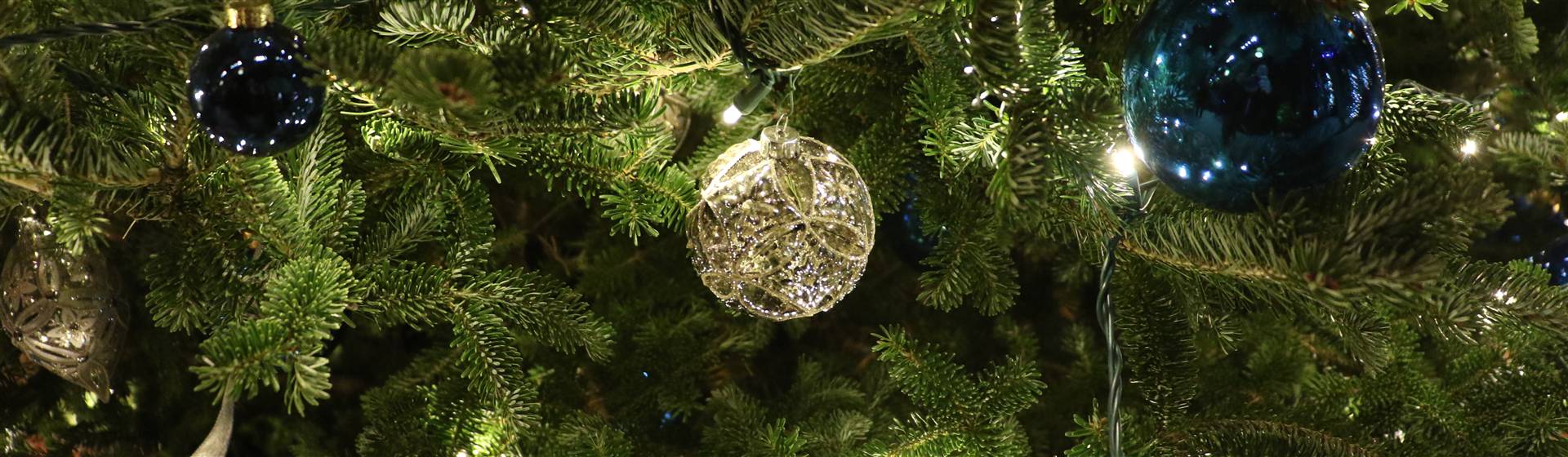 Join in for an afternoon in classic Christmas atmosphere.