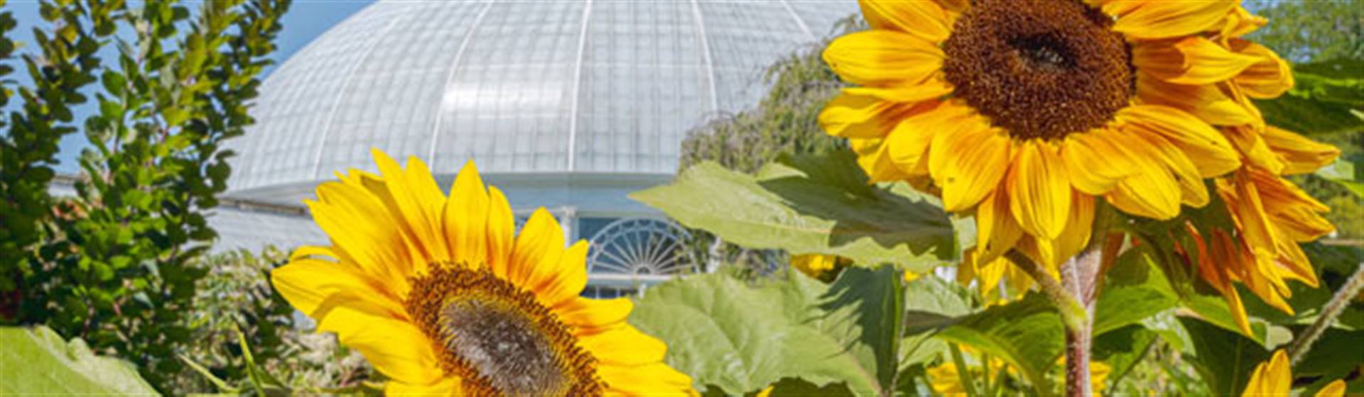 One of the most inspiring floral exhibitions of the summer is hosted at NY Botanical Garden. 